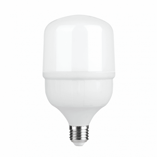 Sijalica LED E27 30W 6500K ECO 170-240V 2700L